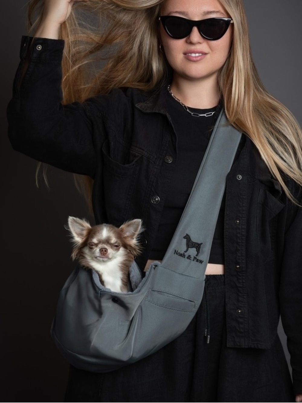 Cozy Plush lined Washable Pet Carrier w/ padded strap, leash clip | Noah & Paw